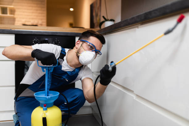 Best Pest Control Near Me  in Dentsville, SC