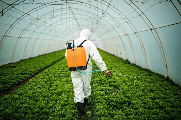 Professional Pest Control in Dentsville, SC