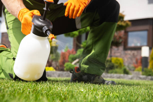 Best Local Pest Control Services  in Dentsville, SC