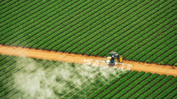 Best Exterminator Services  in Dentsville, SC